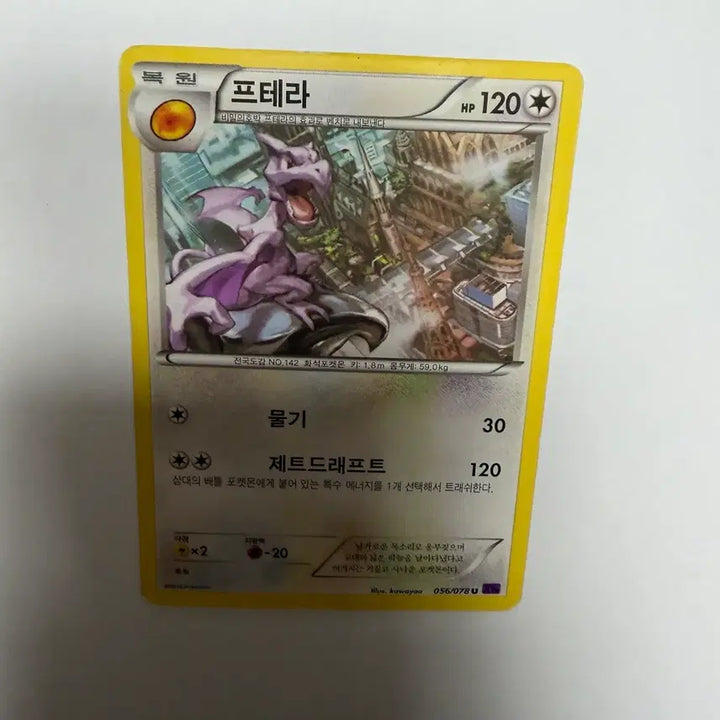 [BUNJANG] Ptera Pokémon Card / 프테라 포켓몬카드