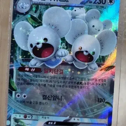[SOLD OUT] 포켓몬 파밀리쥐 ex 카드