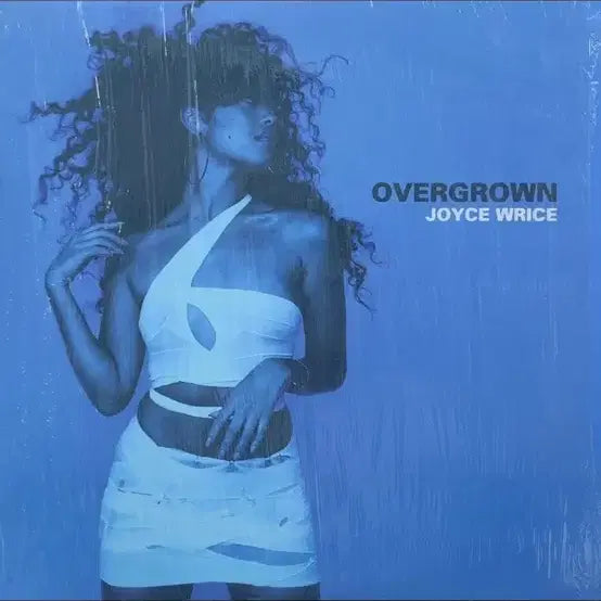 [BUNJANG] Joyce Wrice Overgrown Vinyl Record / Joyce Wrice Overgrown LP 바이닐 레코드