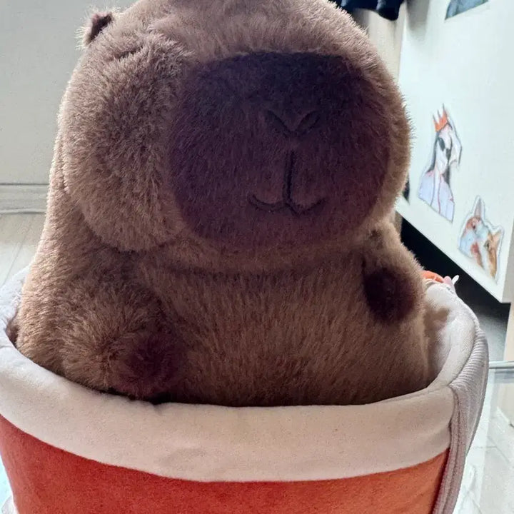 [BUNJANG] Capybara Plush Doll / [새상품] 카피바라 인형