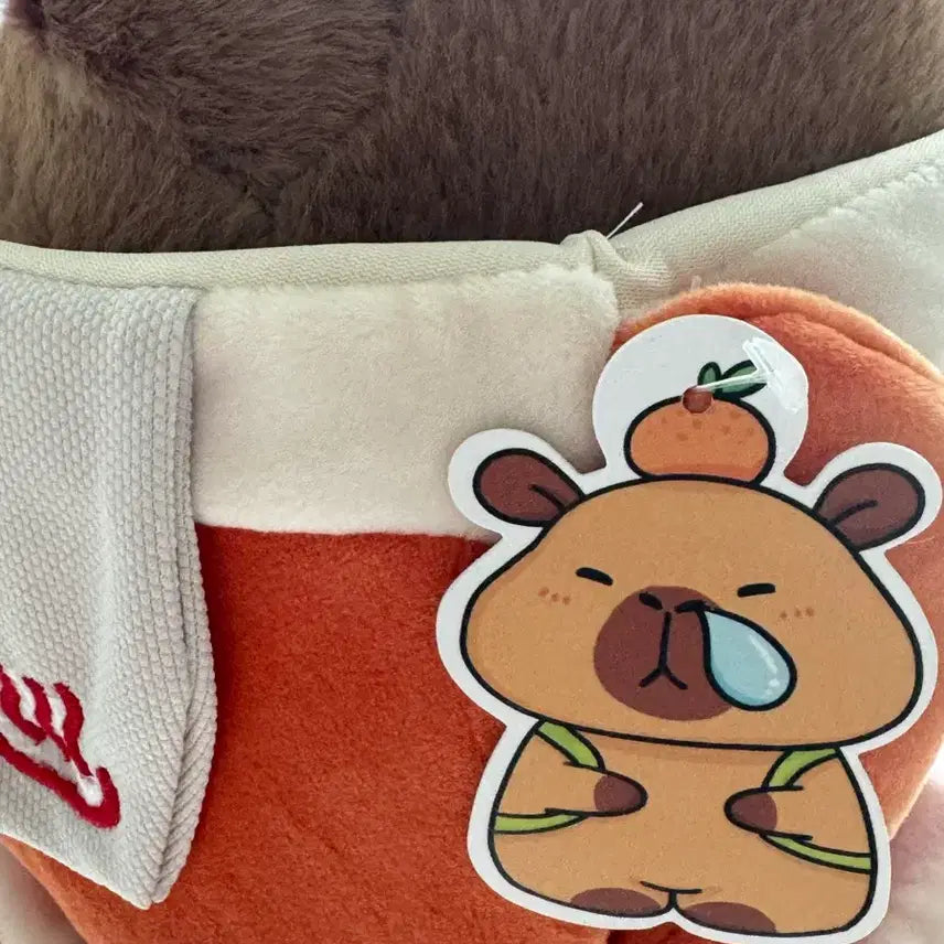 [BUNJANG] Capybara Plush Doll / [새상품] 카피바라 인형