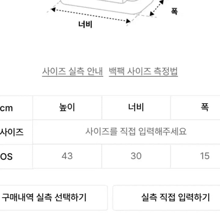 [BUNJANG] Os DNSR Backpack / [Os]DNSR백팩 팝니다
