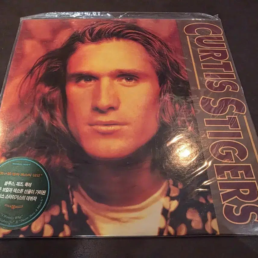 [BUNJANG] Curtis Stigers Debut LP (Sealed) / Curtis Stigers 미개봉 LP