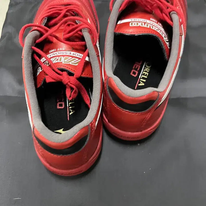 [SOLD OUT] 미즈노 모렐리아 프로