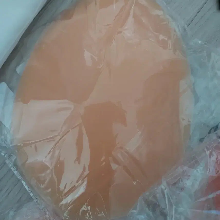 [BUNJANG] Sahobbi Hip Padding L Beige / Sahobbi 골반뽕