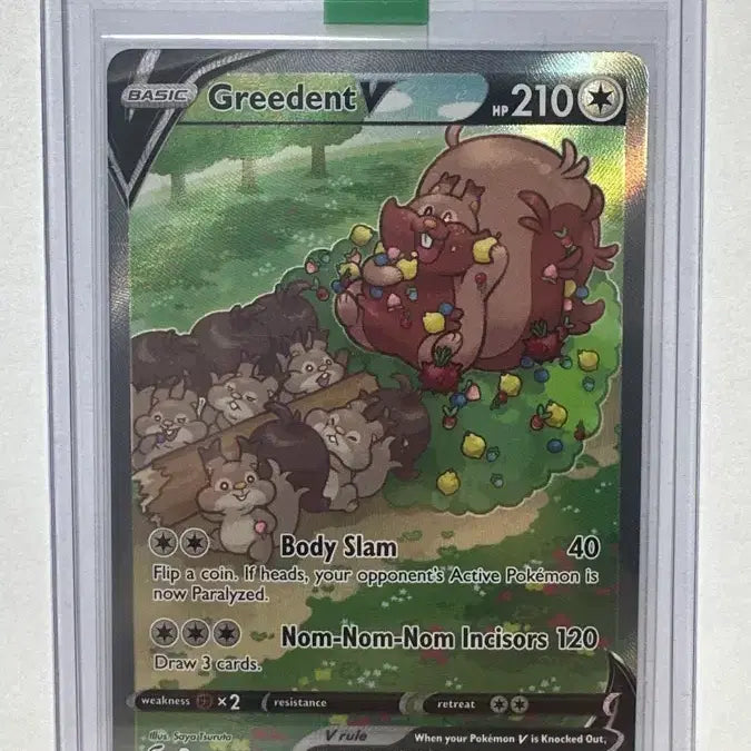 [BUNJANG] Pokemon Card Yamaaroma V Special Rare (Japanese Version) / (영판) 포켓몬 카드 요씽리스 V 특일