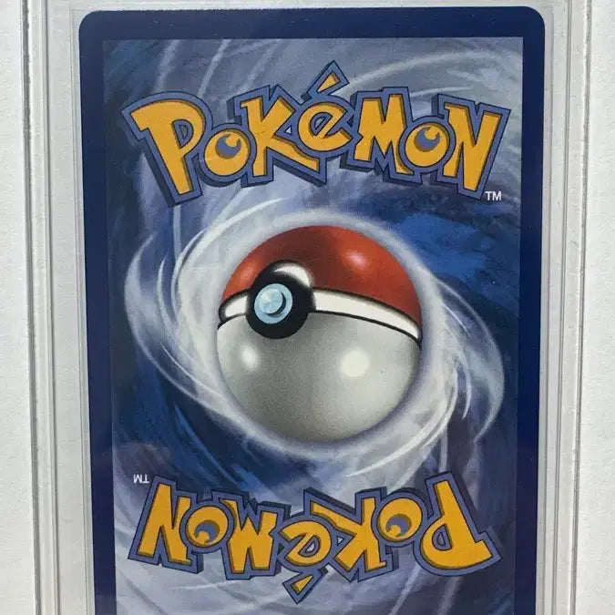 [BUNJANG] Pokemon Card Yamaaroma V Special Rare (Japanese Version) / (영판) 포켓몬 카드 요씽리스 V 특일