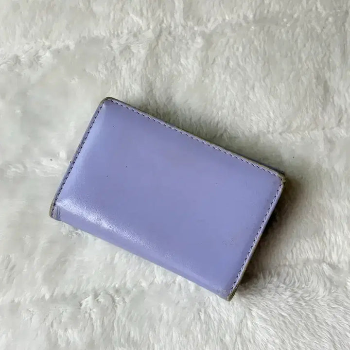 [BUNJANG] Fennec Card Wallet / 페넥 카드지갑