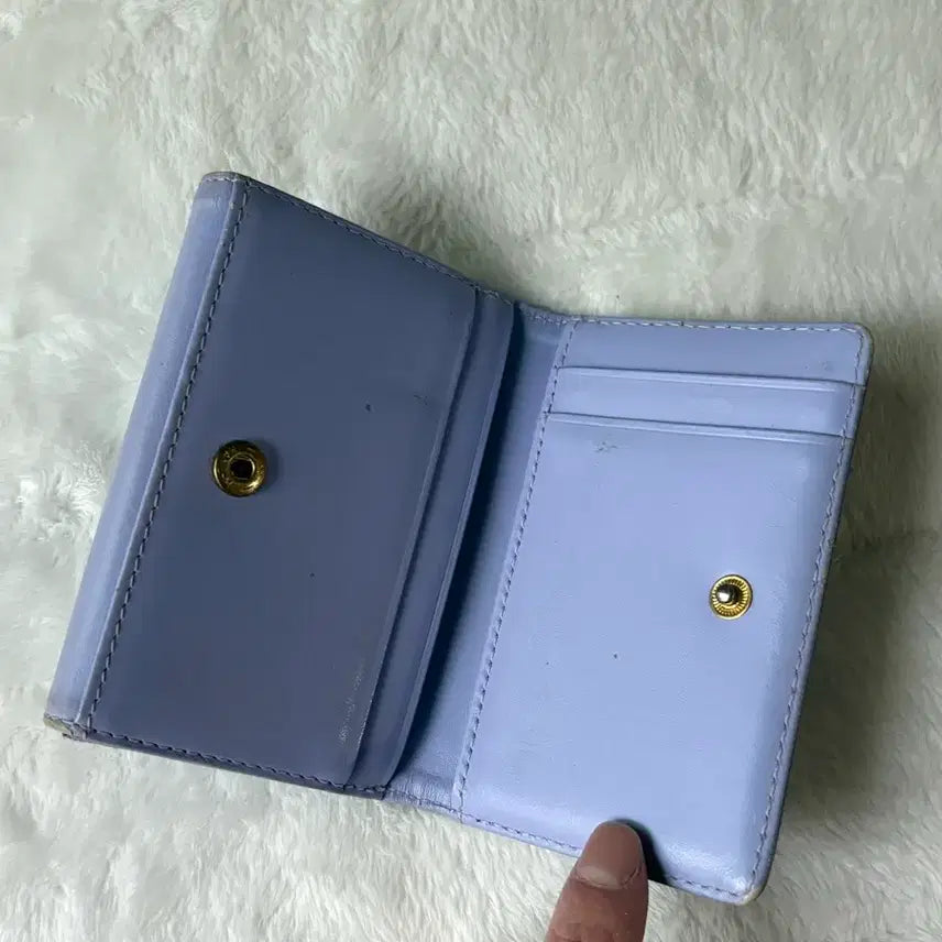 [BUNJANG] Fennec Card Wallet / 페넥 카드지갑