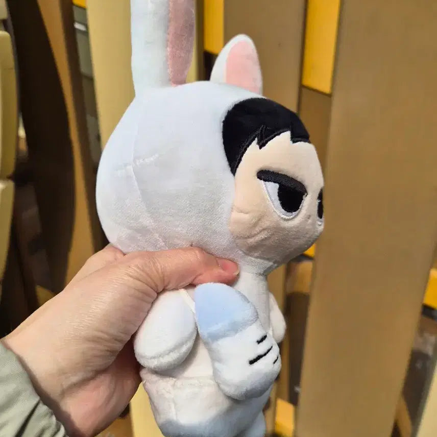 [BUNJANG] EXO D.O. Dduya Doll / 엑소 도경수 뚜야 인형