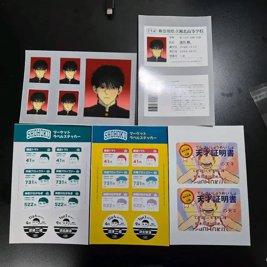 [BUNJANG] Slam Dunk Photo Cards Bundle Set / 슬램덩크 프박 10장 일괄