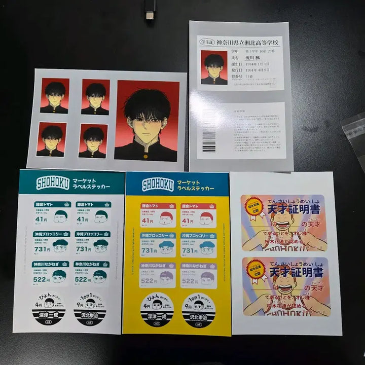 [BUNJANG] Slam Dunk Photo Cards Bundle Set / 슬램덩크 프박 10장 일괄