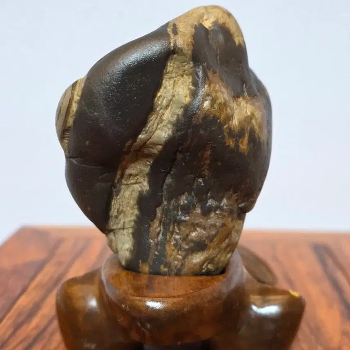 [BUNJANG] Namhangang River Stone / 26032724 물고기 닮은 남한강 수석 팝니다