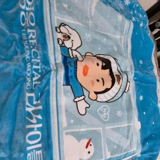 [BUNJANG] Lim Young Woong Blanket Cushion / 임영웅 담요 쿠션