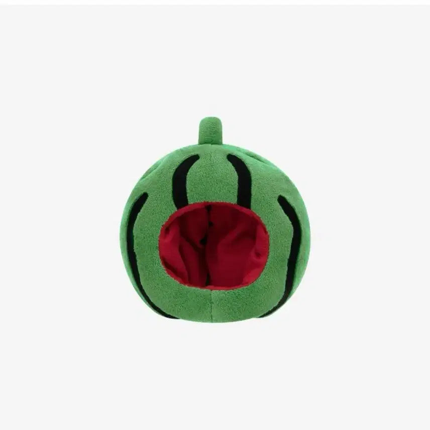 [BUNJANG] Day6 Watermelon Costume / 데이식스 수박 코스튬