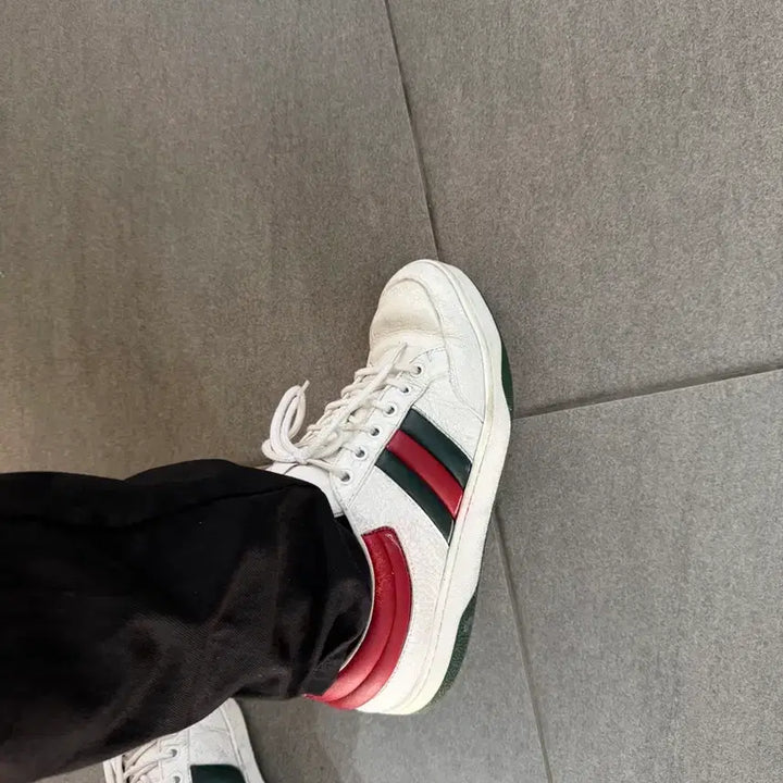 [BUNJANG] Gucci Classic Tri-Stripe Sneakers / GUCCI 구찌 클래식 삼선 스니커즈 운동화 270