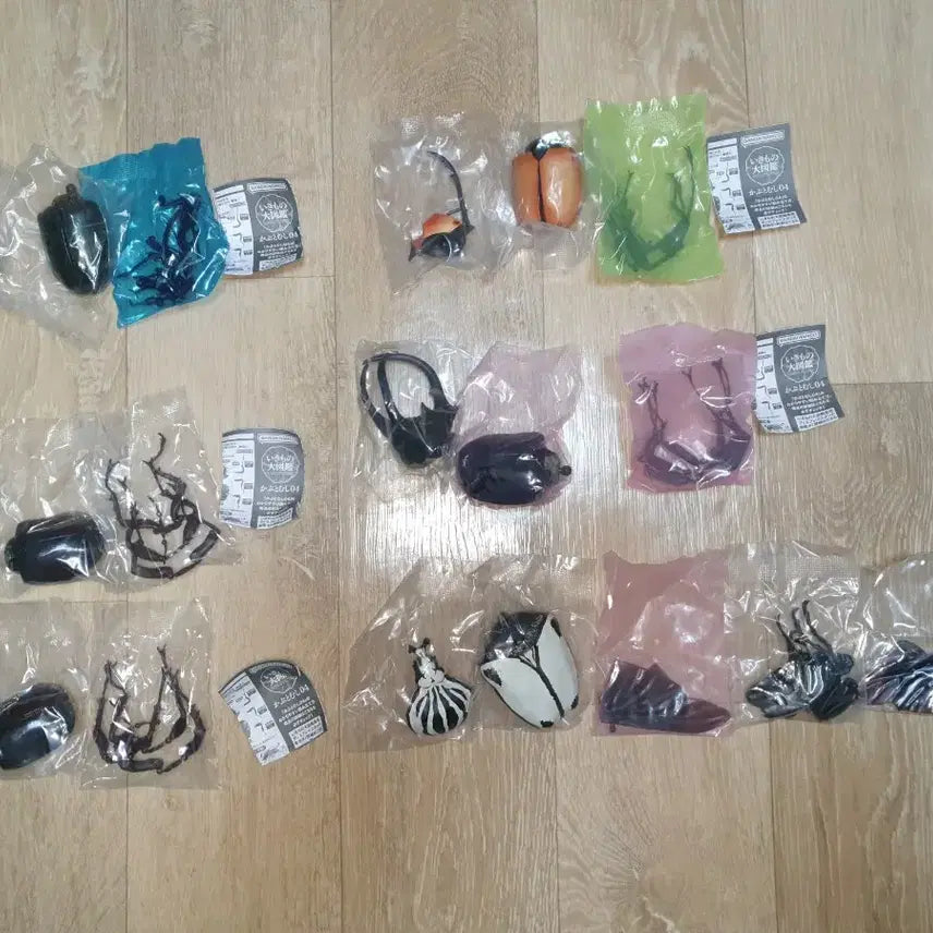 [BUNJANG] Bandai Insect Encyclopedia Beetle 04 Set / 반다이 생물대도감 딱정벌레 04탄 6마리 세트