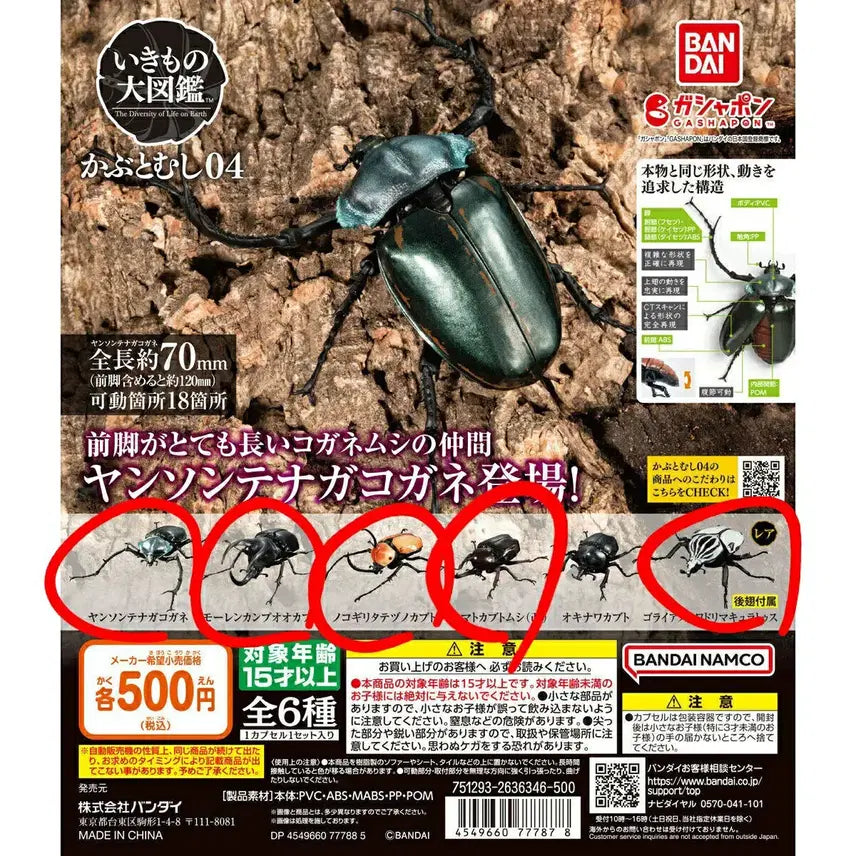 [BUNJANG] Bandai Insect Encyclopedia Beetle 04 Set / 반다이 생물대도감 딱정벌레 04탄 6마리 세트