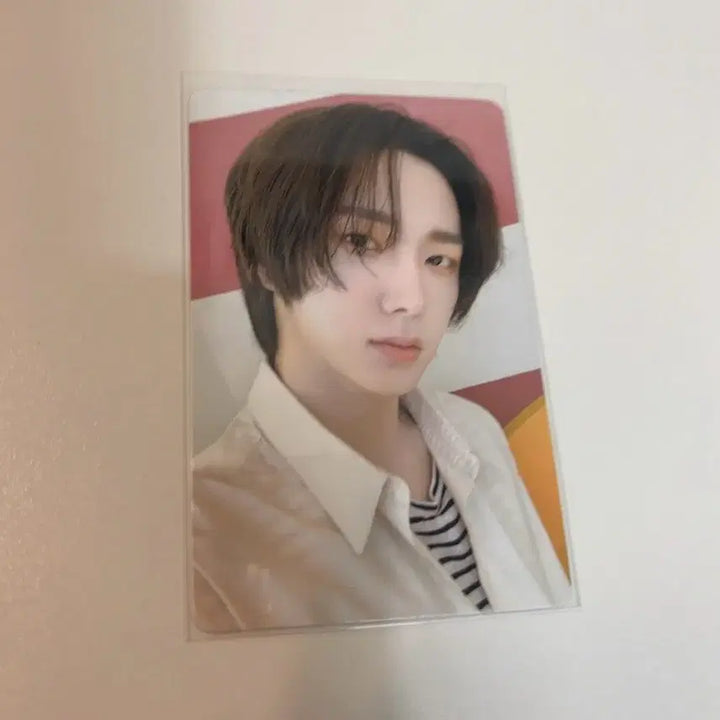 [BUNJANG] BOYNEXTDOOR Sungho Photocard Set / 보이넥스트도어 성호포카 판매합니당~