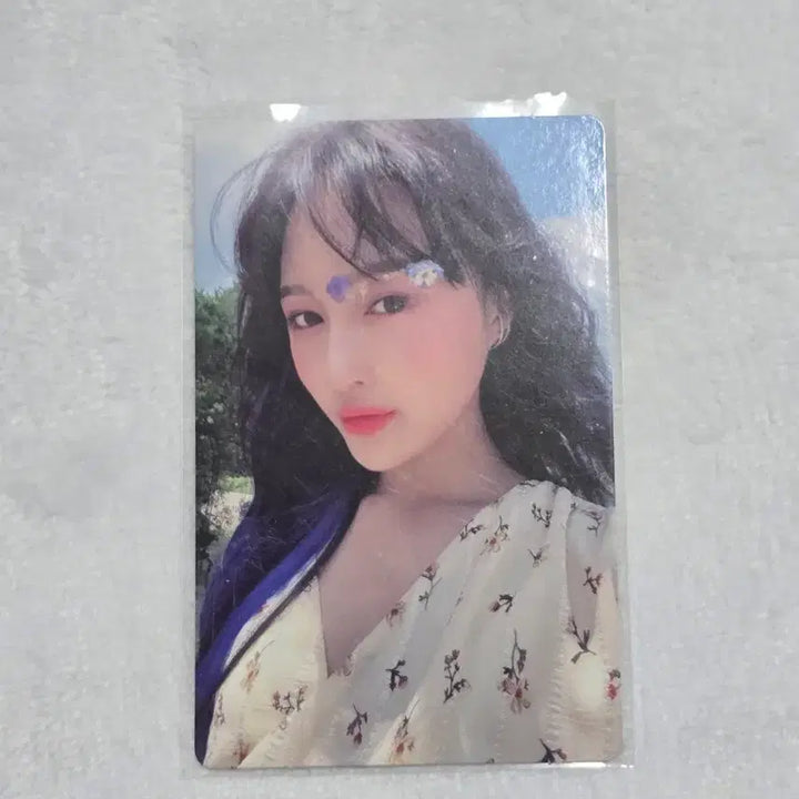 [BUNJANG] Dreamcatcher Siyeon Photocard / 드림캐쳐 시연 boca 앨범 포토카드