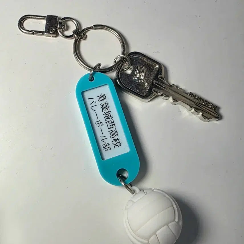 [BUNJANG] Haikyu Aoba Johsai Seijo Keyring / 하이큐 부실키링 아오바죠사이 세이죠 판매