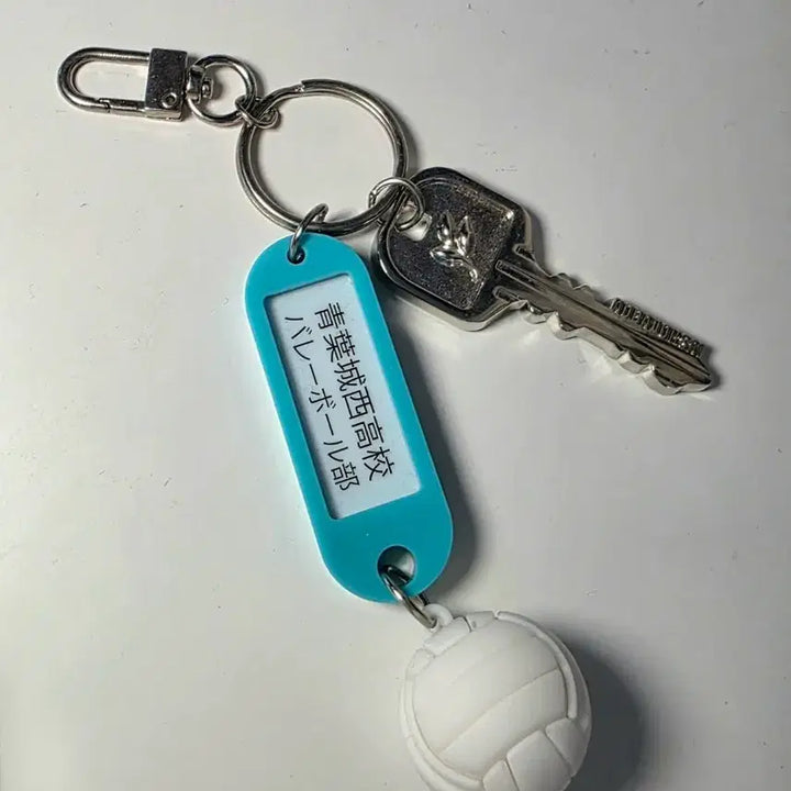 [BUNJANG] Haikyu Aoba Johsai Seijo Keyring / 하이큐 부실키링 아오바죠사이 세이죠 판매