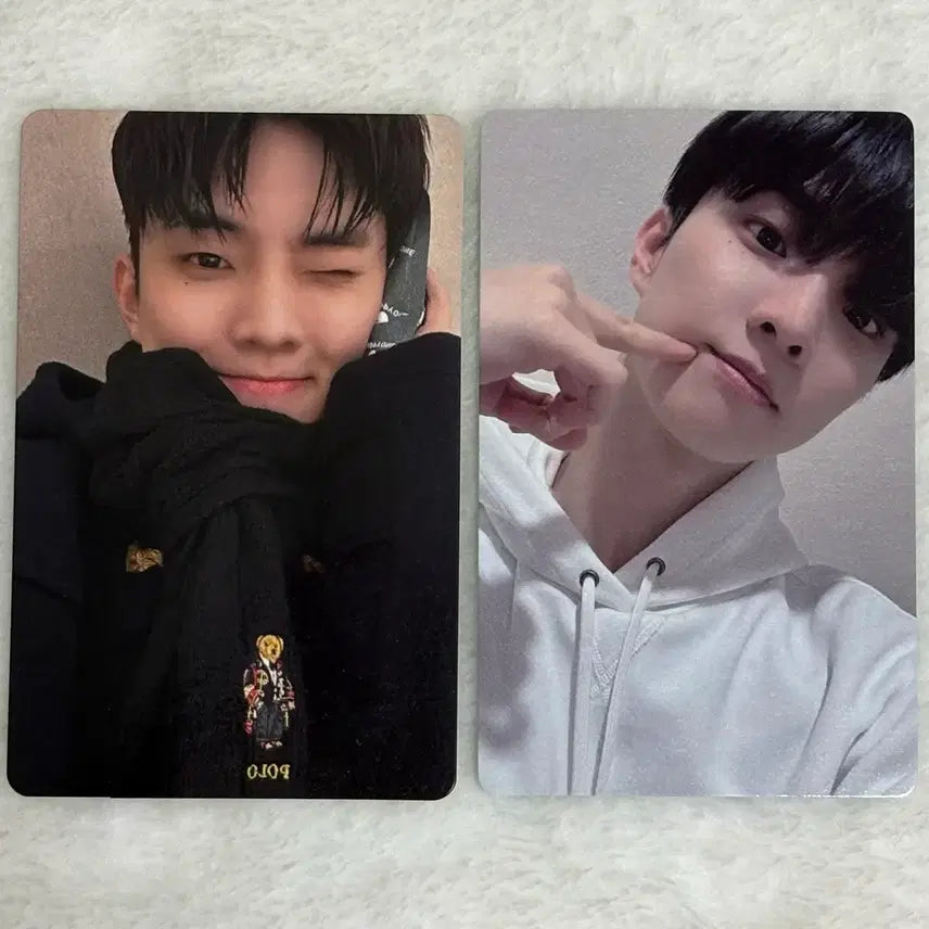 [BUNJANG] The Boyz Q Dewytree Photocard Bundle Set / 더보이즈 큐 듀이트리 포카 일괄