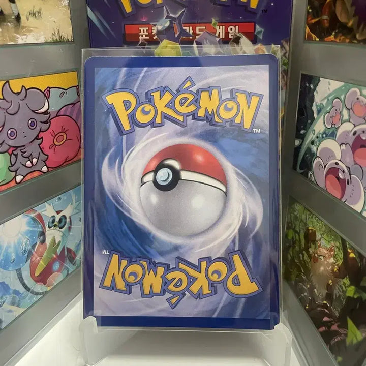 [BUNJANG] Pokemon Card Aoki&