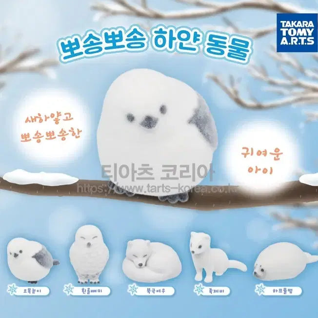 [BUNJANG] PonPon White Animal Gacha Figure Full Set / 뽀송뽀송 하얀 동물 가챠 피규어 풀셋) 시마에나가 오목눈이 뱁새