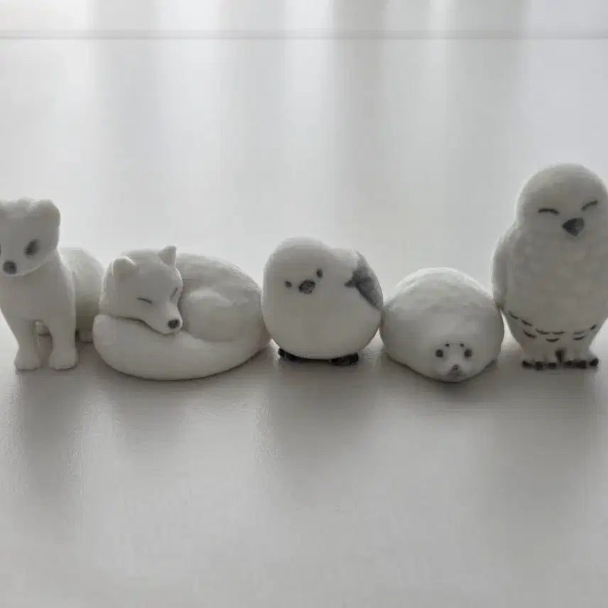 [BUNJANG] PonPon White Animal Gacha Figure Full Set / 뽀송뽀송 하얀 동물 가챠 피규어 풀셋) 시마에나가 오목눈이 뱁새