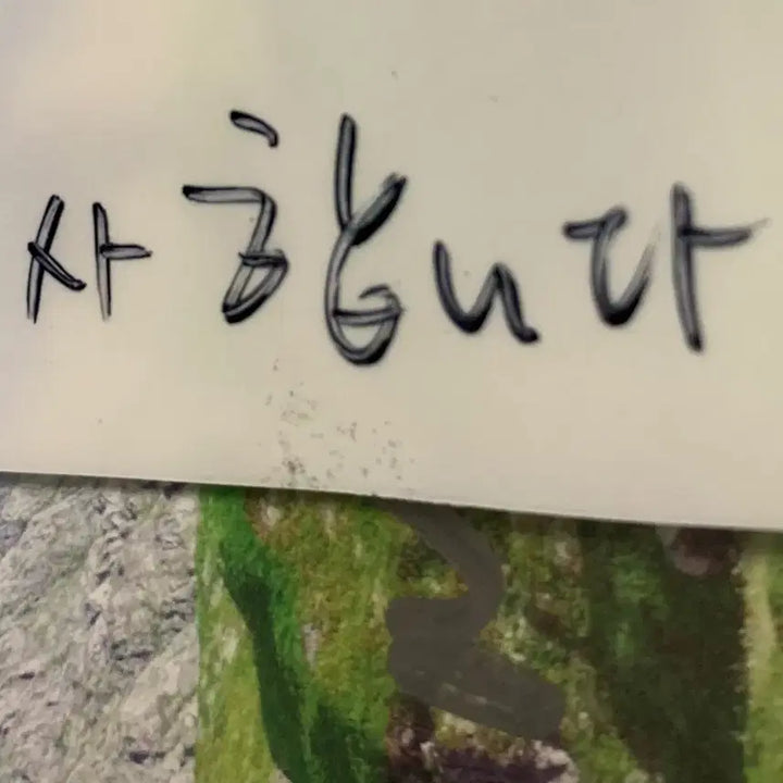 [SOLD OUT] [싸인반] 알레프 홰홰 CD