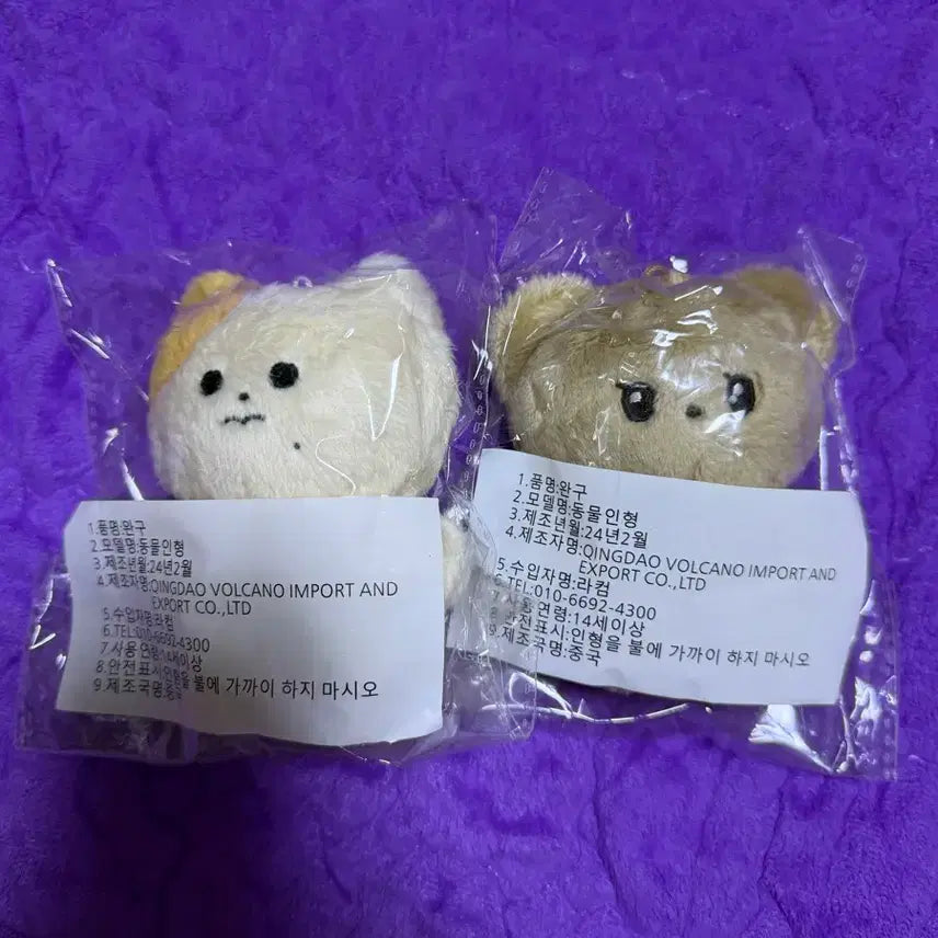 [BUNJANG] Chigum Character Bundle Set / 치즈딴 차곰이