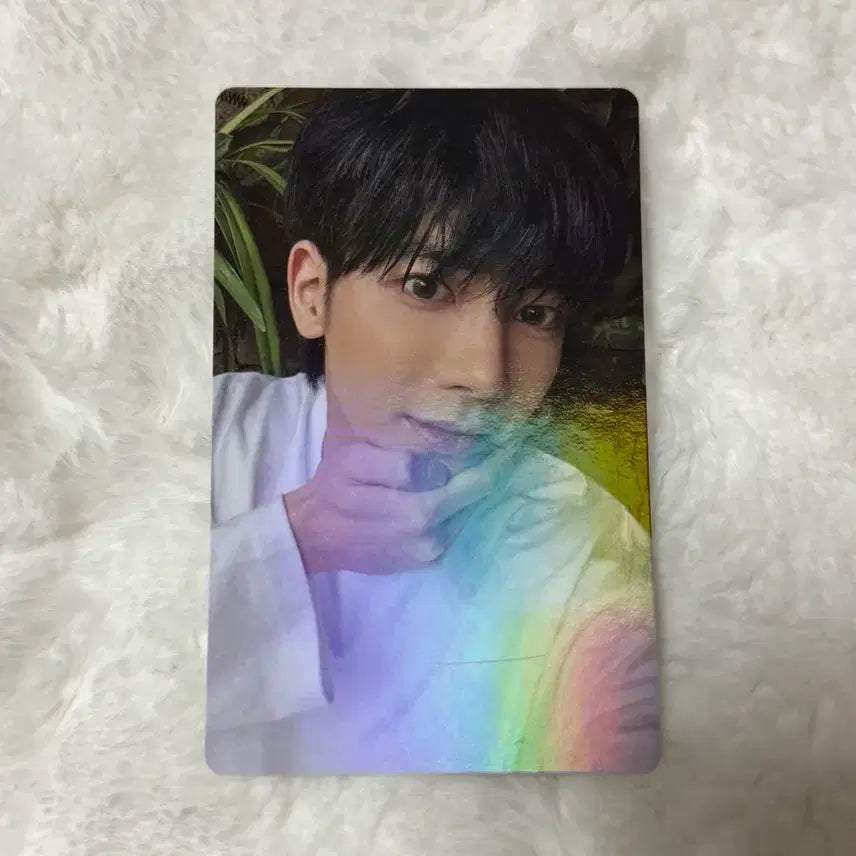 [BUNJANG] TXT Weverse Sanctuary POB Bundle Set Photocard / 일괄)) 투바투 위버스 생츄어리 예판 특전 포카 판매