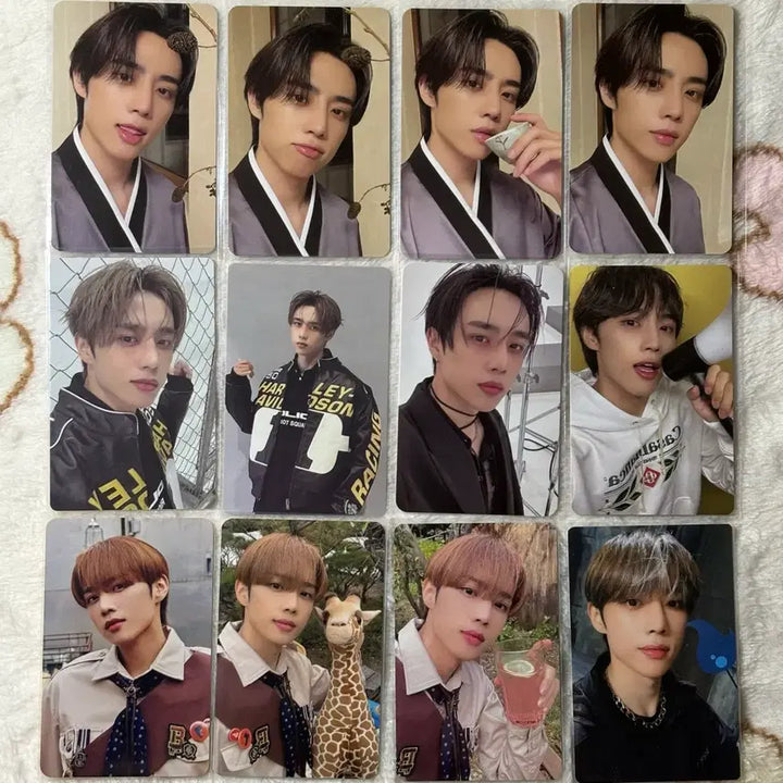 [BUNJANG] The Boyz Sunwoo Bundle Set Photocard / 더보이즈 선우 포카 일괄