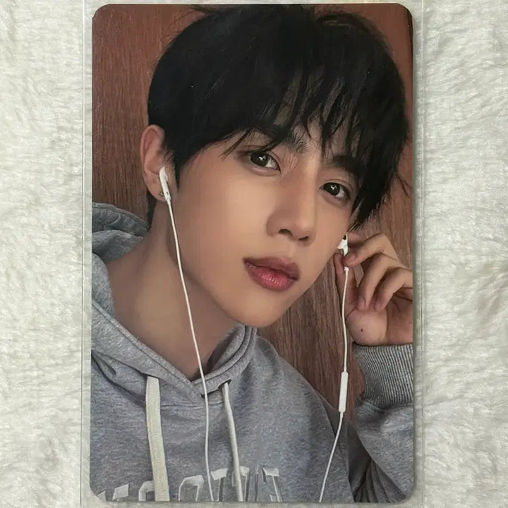 [BUNJANG] The Boyz Sunwoo Photocard / 더보이즈 선우 힐링버드 포카
