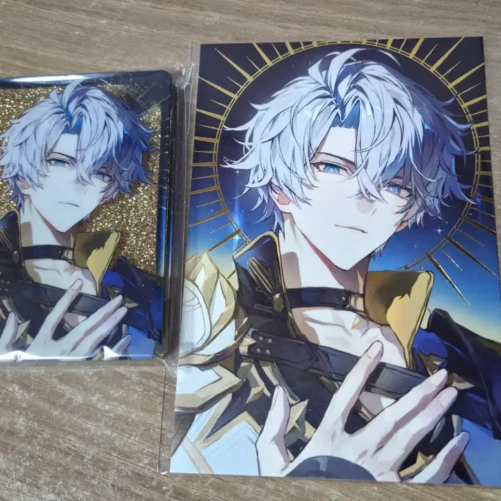 [BUNJANG] Honkai: Star Rail Phaynon Unofficial Corot, Postcard Bundle Set / 스타레일 파이논 비공굿 유사 코롯타, 엽서 일괄