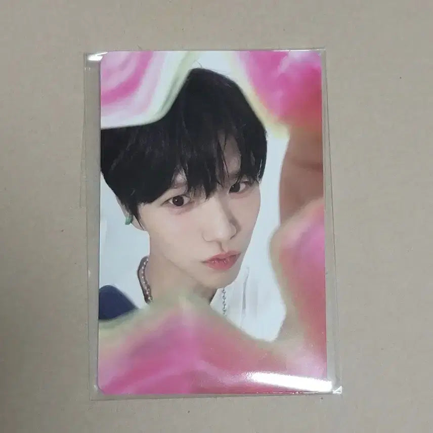[BUNJANG] NCT WISH 2026 Season&
