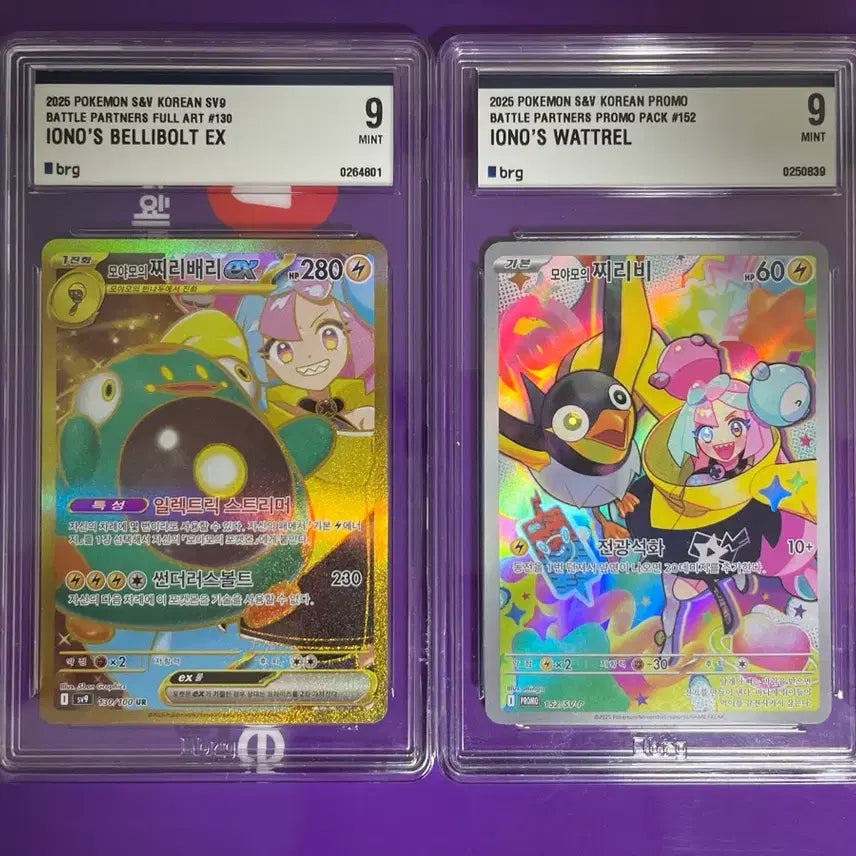 [BUNJANG] Pokemon Moyamo Series Card - Chiribari &amp; Chiribee / 포켓몬 모야모 카드