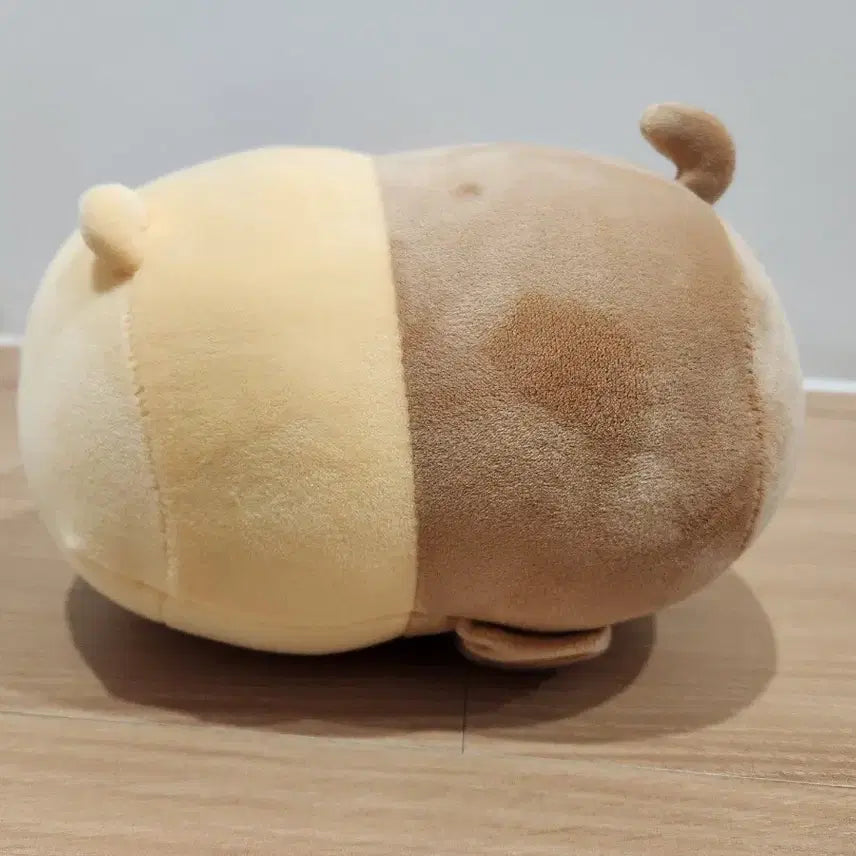 [BUNJANG] Chunsik Doll / 춘식이 인형