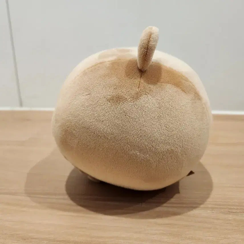 [BUNJANG] Chunsik Doll / 춘식이 인형