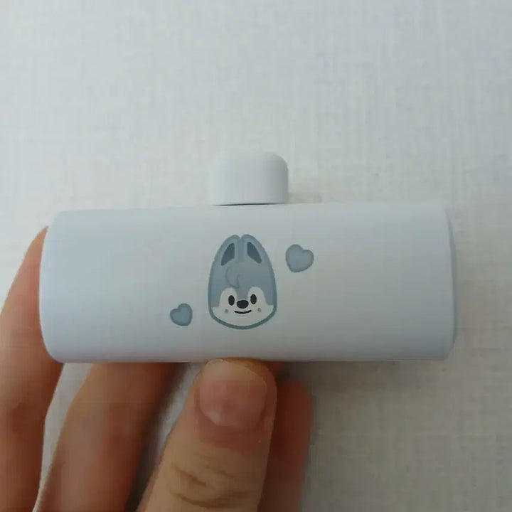 [SOLD OUT] 스키주 울프찬 보조배터리