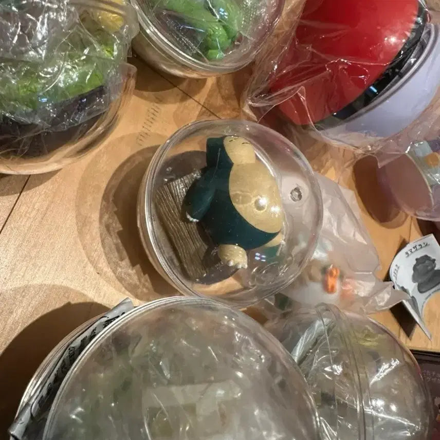 [BUNJANG] Pokemon Re-Ment Terrarium Dream Case Kacha Bundle Set / 포켓몬 리멘트 테라리움 / 드림케이스 카챠 일괄