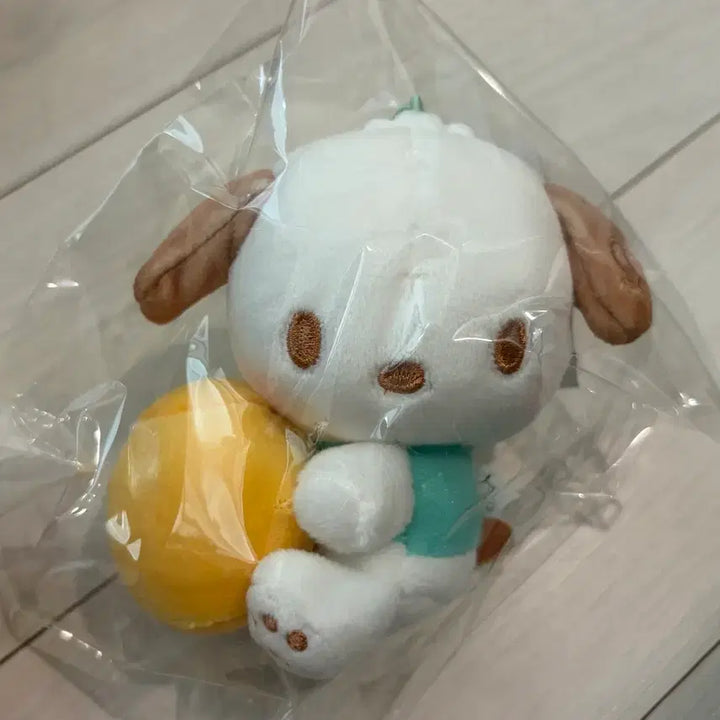 [BUNJANG] Sanrio Pochacco Plush Doll (New) / 산리오 정품 포챠코 인형 새상품