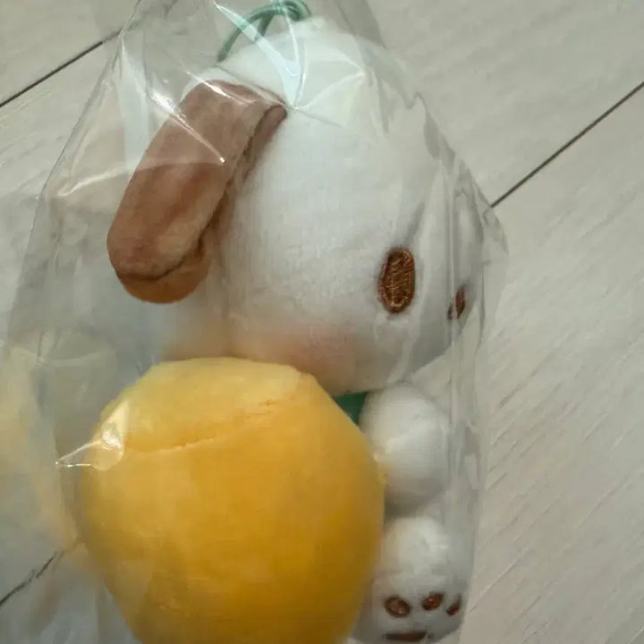 [BUNJANG] Sanrio Pochacco Plush Doll (New) / 산리오 정품 포챠코 인형 새상품