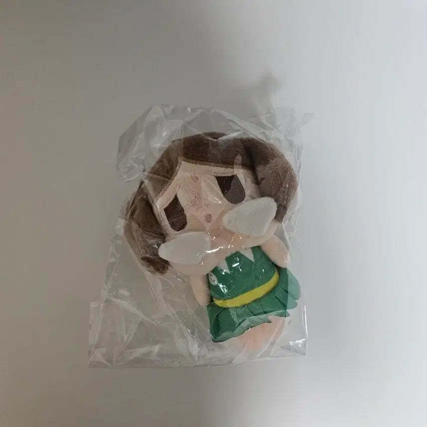 [BUNJANG] Character Plush Doll Toy New / 캐릭터 봉제인형 인형 새상품