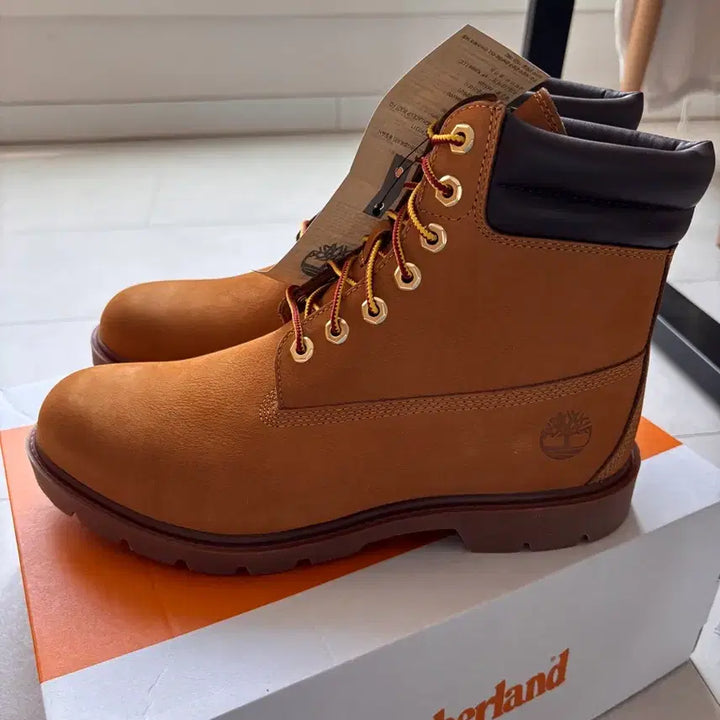 [BUNJANG] Timberland 6-Inch Boots (285) - New / 팀버랜드 6인치 부츠 285 (새상품)