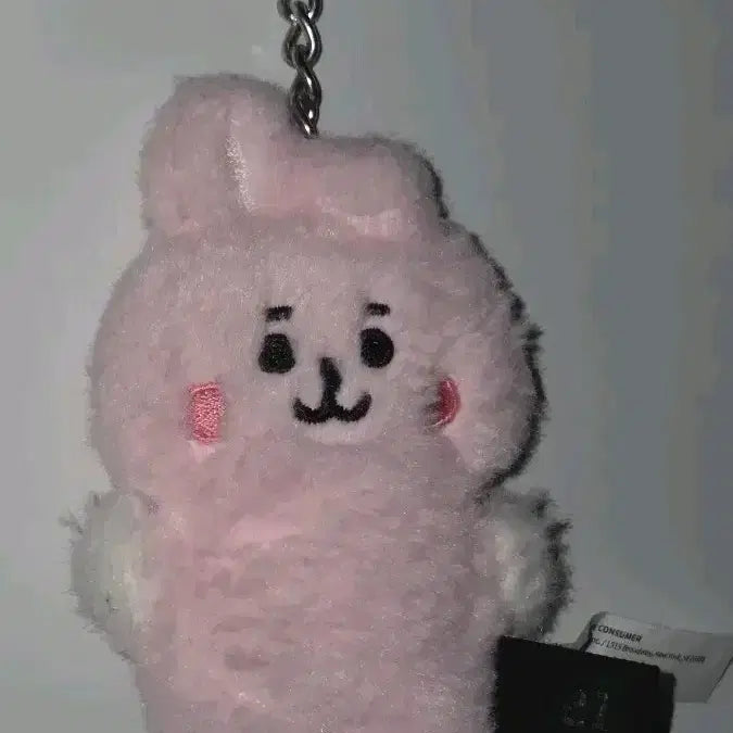 [BUNJANG] BTS Jungkook BT21 Doll Keyring / bts 정국 bt21 인형