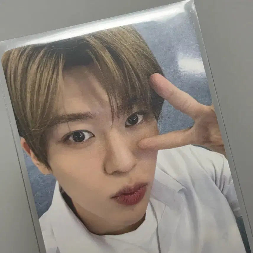 [BUNJANG] NCT WISH Sion School of WISH Photocard / 엔시티위시 시온 스쿨오브위시 포카 판매