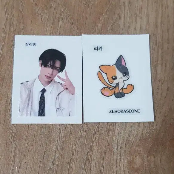 [BUNJANG] ZB1 Ricky 증명사진 &amp; 띠부씰 Bundle Set / 제베원 리키 증사 띠부실 세트
