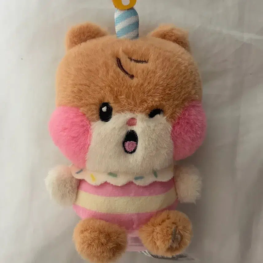 [BUNJANG] ZB1 Zeronine Sung Hanbin Binini Birthday Party Doll / 제베원 제로니 성한빈 비니니 생일 파티 인형